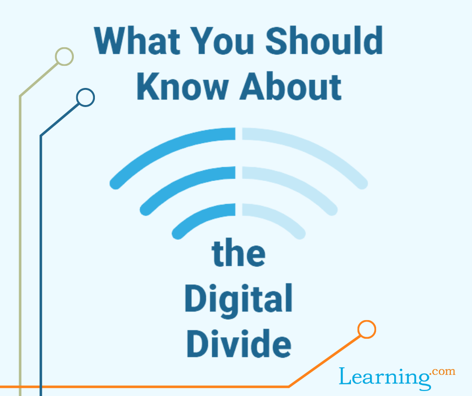 Digital Divide Infographic